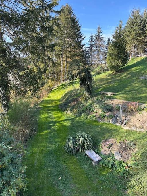 Exclusiv Im Erzgebirge Apartment Amtsberg Ngoại thất bức ảnh